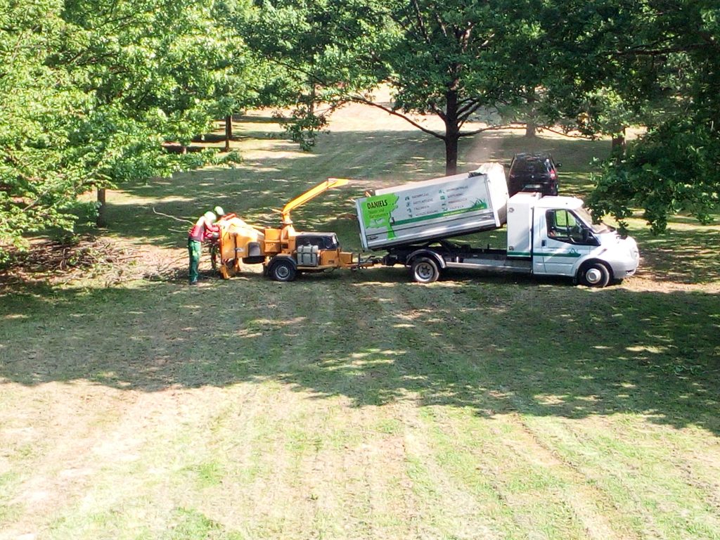 Baumpflege im Freibad Rastatt