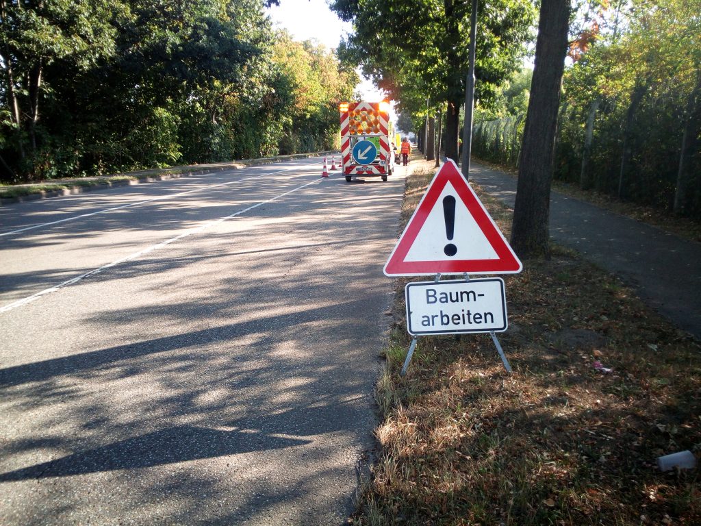 Baumpflege entlang der B3 in Rastatt
