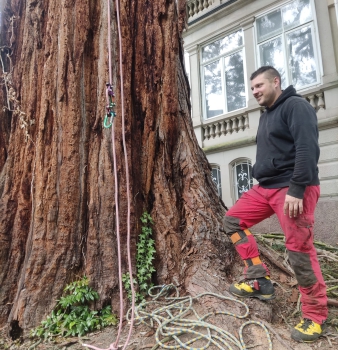 Pflege eines Naturdenkmals